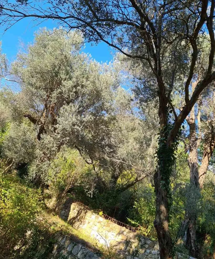 Prodaja, plac, 1200m², Bar, Crna Gora