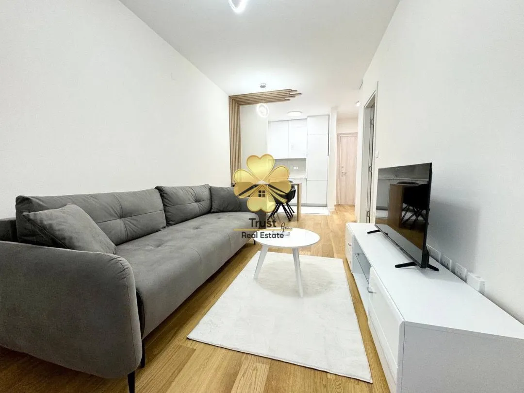 Rent, one bedroom apartment, 40m², Central Point, Podgorica