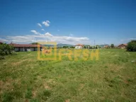 Sale, land lot, 5000m², Ostalo, Podgorica - image 6
