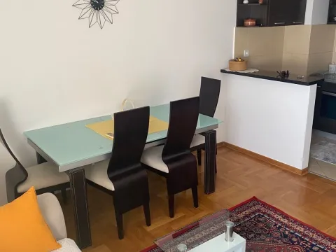 Rent, one bedroom apartment, 52m², Preko Morače, Podgorica - image 15