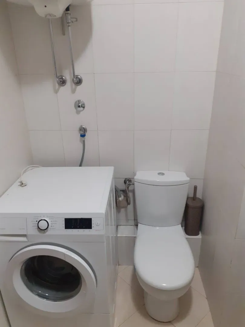 A bathroom featuring a toilet and a washing machine.