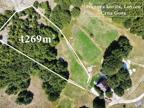 Prodaja, plac, 4269m², Ivanova Korita, Cetinje - image 7