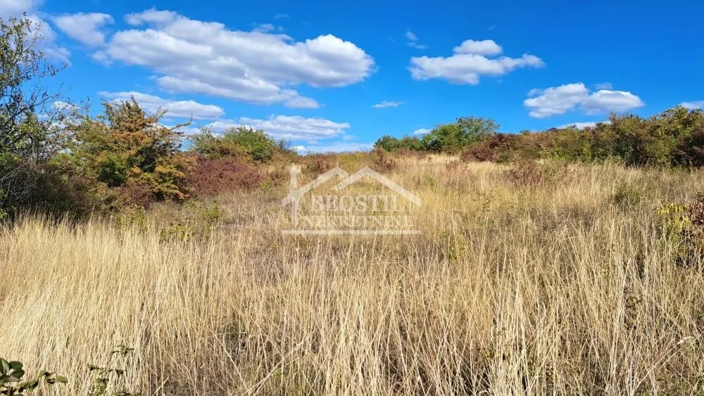 Prodaja, plac, 2800m², Višnjica, Palilula Sve Podlokacije