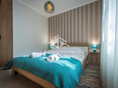 Izdavanje, stan, 38m², Botanička Bašta, Palilula Sve Podlokacije - image 8