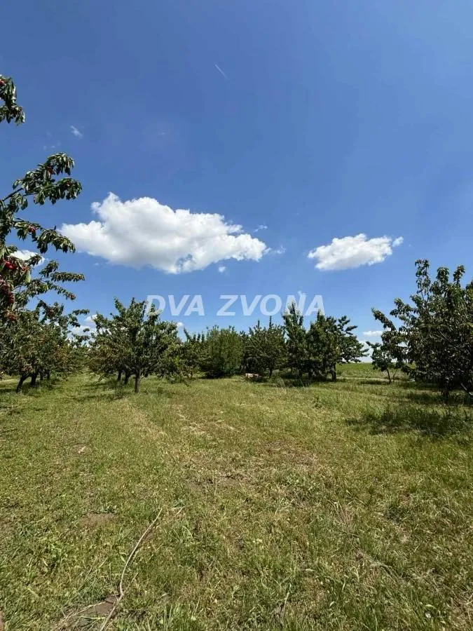 Prodaja, plac, 28700m², Novi Slankamen, Inđija