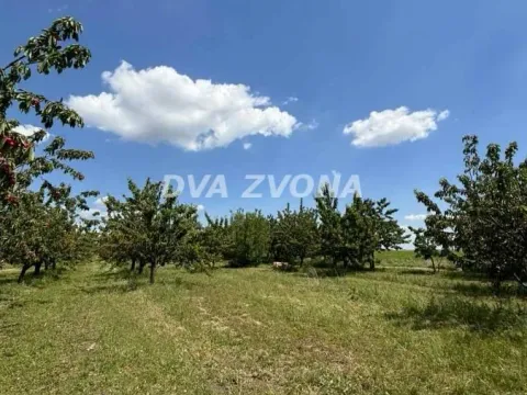 Prodaja, plac, 287m², Novi Slankamen, Inđija - image 4