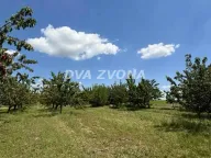 Sale, land lot, 287m², Novi Slankamen, Inđija - image 4