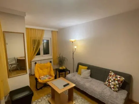 Rent, one bedroom apartment, 40m², Vračar Sve Podlokacije, Beograd - image 9