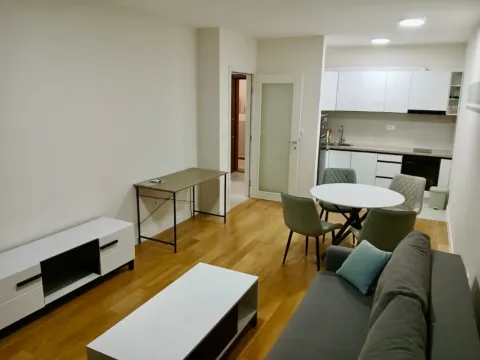 Izdavanje, jednosoban stan, 49m², Central Point, Podgorica - image 2