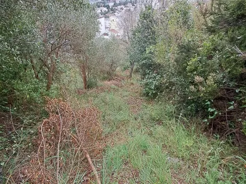 Prodaja, plac, 3004m², Podkošljun, Budva - image 9