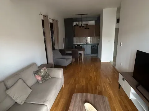 Prodaja, jednosoban stan, 46m², Zabjelo, Podgorica - image 3