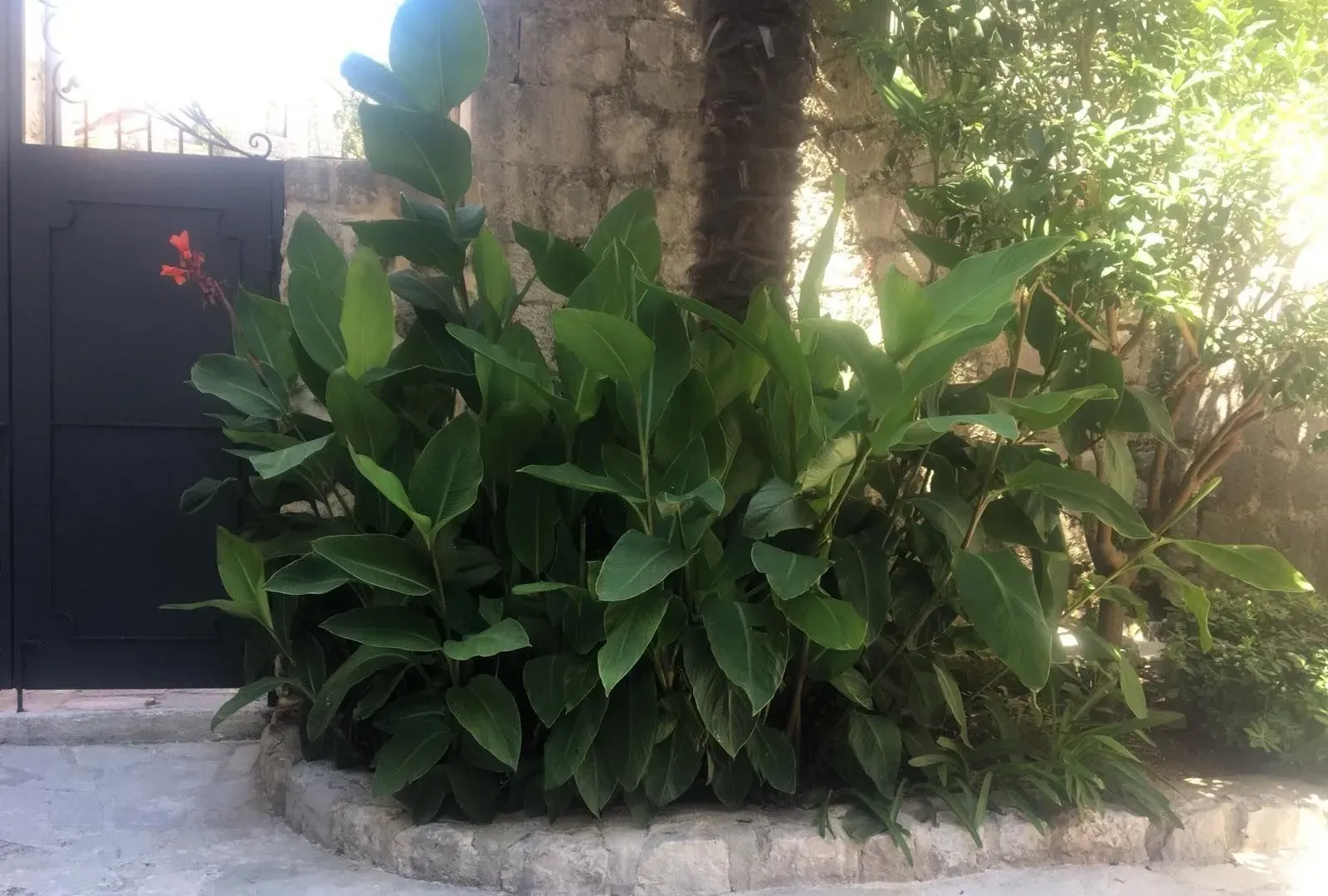 Prodaja, kuća, 208m², Perast, Kotor