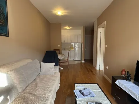 Rent, one bedroom apartment, 42m², Central Point, Podgorica - image 8