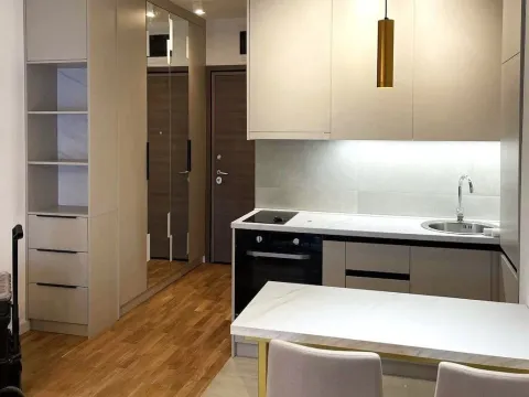 Rent, apartment, 27m², Zabjelo, Podgorica - image 3