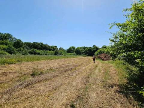 Prodaja, plac, 4000m², Kosić, Danilovgrad - image 4