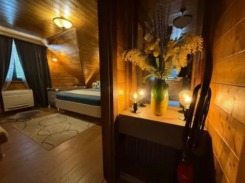 Prodaja, kuća, 270m², Petrovaradin, Novi Sad - image 57