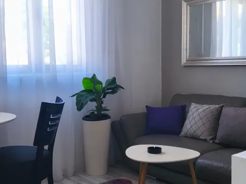 Rent, one bedroom apartment, 35m², Preko Morače, Podgorica - image 4