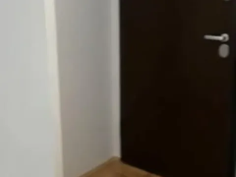 Izdavanje, dvosoban stan, 53m², Bulevar Oslobodjenja, Novi Sad Sve Podlokacije - image 13