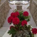 Prodaja, dvosoban stan, 87m², Herceg Novi, Crna Gora - image 9