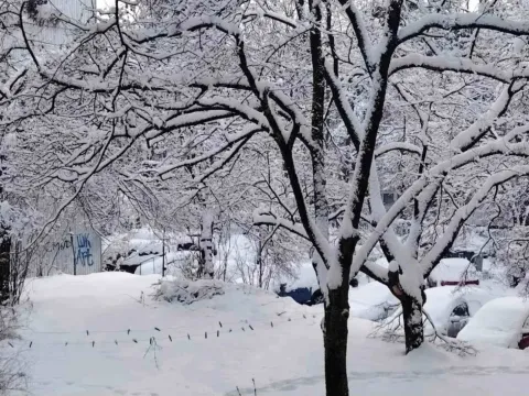 Prodaja, jednosoban stan, 38m², Brace Jerković, Voždovac Sve Podlokacije - image 19