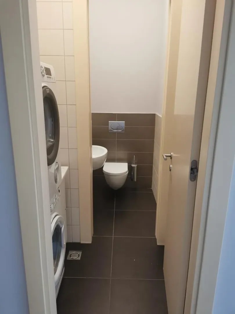 Small bathroom with a toilet and a washing machine.