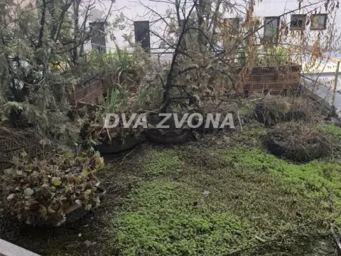 Prodaja, kuća, 333m², Srbobran, Novi Sad - image 2