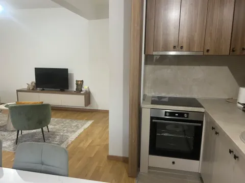 Modern kitchen connected to the living room in the apartment. - image 4