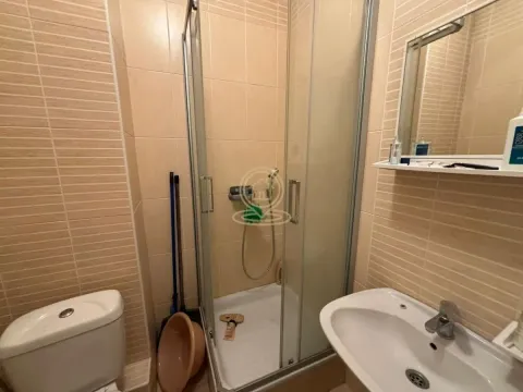 Izdavanje, jednosoban stan, 47m², Novi Sad, Srbija - image 13