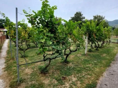 Sale, house, 100m², Stanjevića Rupa, Podgorica - image 4