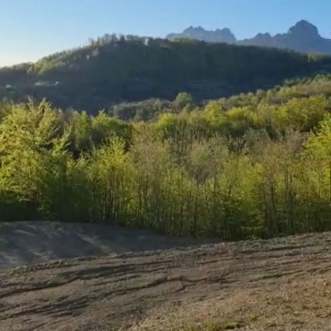 Prodaja, plac, 22000m², Kolašin, Crna Gora