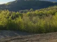 Prodaja, plac, 22000m², Kolašin, Crna Gora - image 2