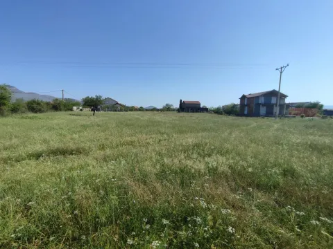 Prostran plac sa zelenom travom i kućama u pozadini pod vedrim nebom. - image 11