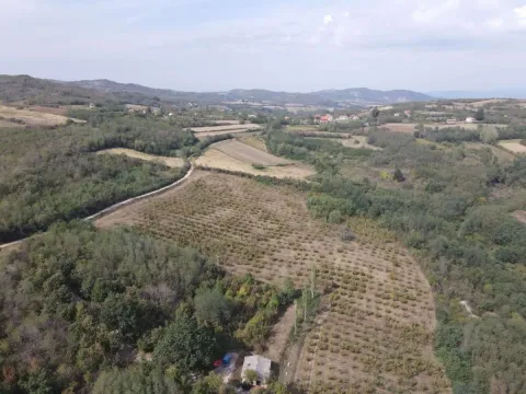 Pogled iz vazduha na okolne pejzaže, šume i brda sa malom kućom. - image 3