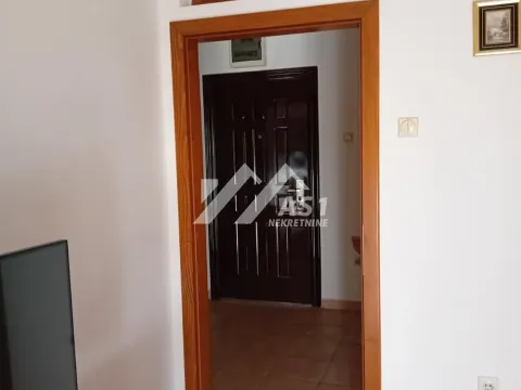 Izdavanje, dvosoban stan, 43m², Novi Sad Sve Podlokacije, Novi Sad - image 3