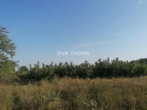 Sale, land lot, 114m², Krčedin, Inđija - image 4