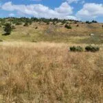 Prodaja, plac, 35832m², Žabljak, Crna Gora - image 9