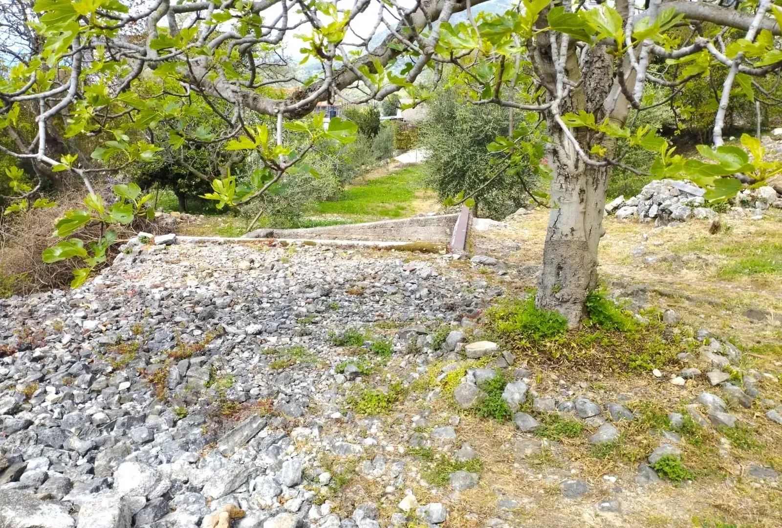 Sale, land lot, Kotor, Crna Gora