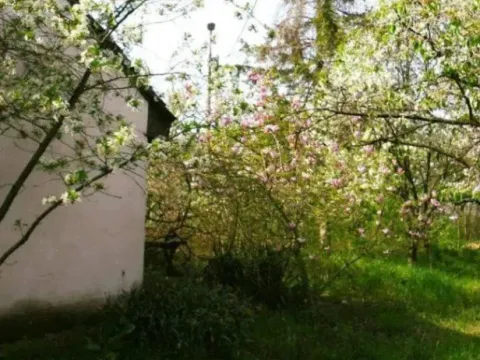 Prodaja, kuća, 200m², Borča Sve Podlokacije, Beograd - image 5