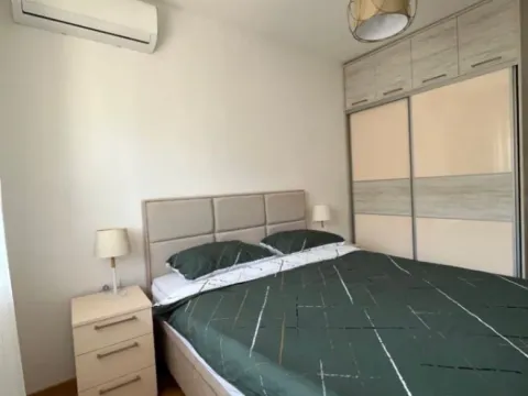 Izdavanje, jednosoban stan, 45m², Zabjelo, Podgorica - image 9