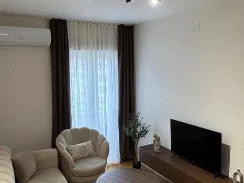 Izdavanje, jednosoban stan, 43m², Central Point, Podgorica - image 10