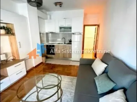 Rent, two bedroom apartment, 50m², Slavija, Vračar Sve Podlokacije - image 4