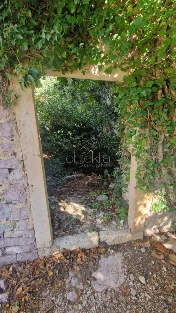 Kameni ulaz u dvorište obrasao bršljanom i zelenilom.
