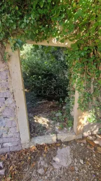 Kameni ulaz u dvorište obrasao bršljanom i zelenilom. - image 3