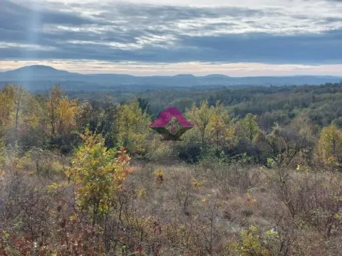 Prodaja, plac, 5850m², Koraćica, Mladenovac - image 6