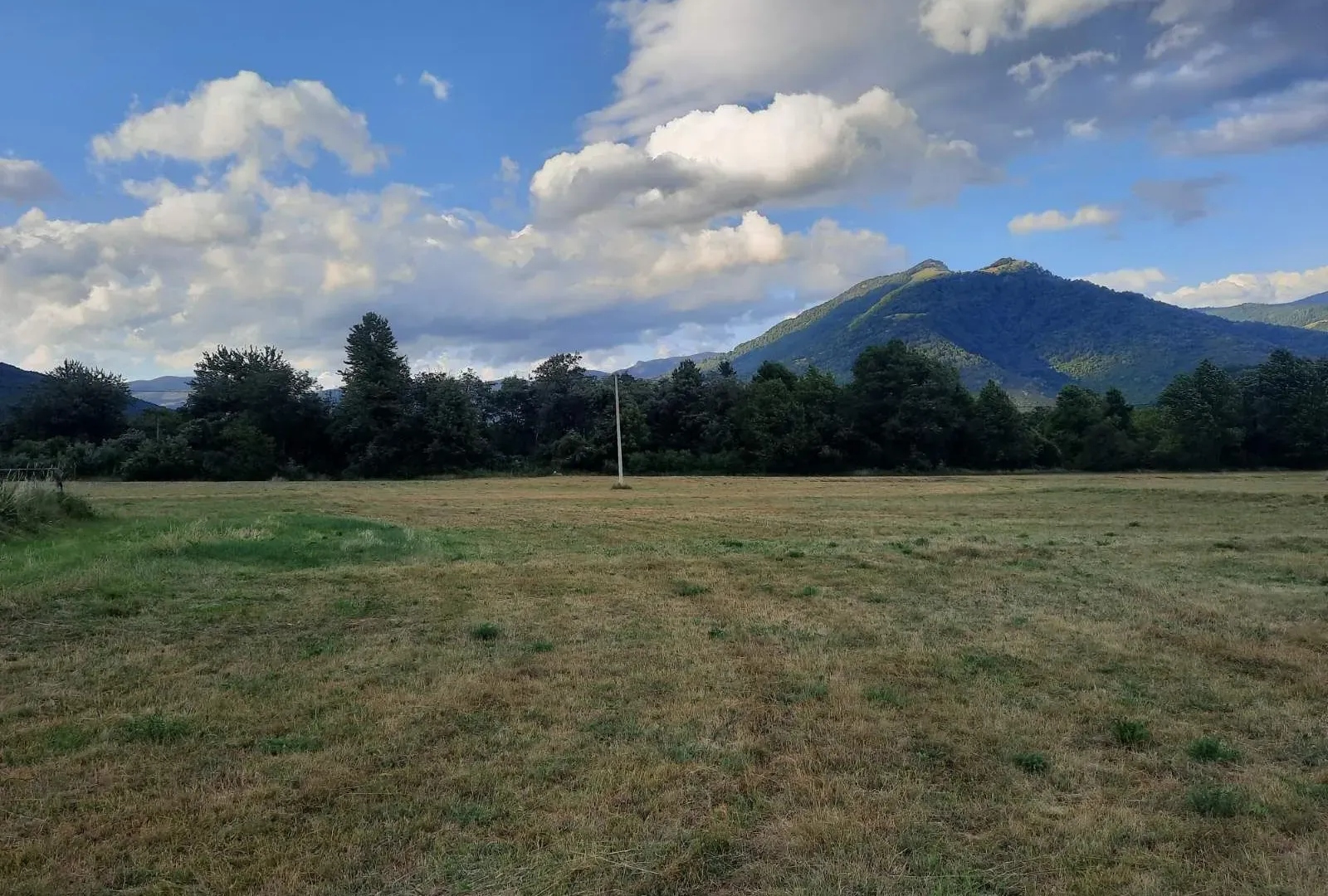 Prodaja, plac, 1000m², Centar, Plav