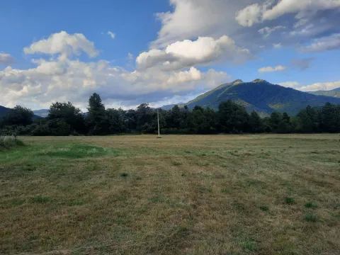 Prodaja, plac, 1000m², Centar, Plav - image 2