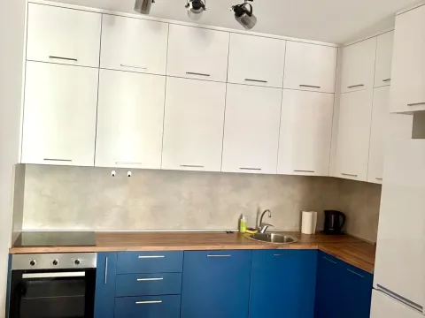 Izdavanje, jednosoban stan, 50m², Master Kvart, Podgorica - image 4