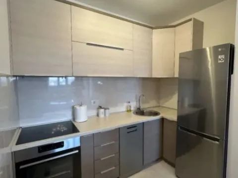 Izdavanje, jednosoban stan, 49m², Central Point, Podgorica - image 3