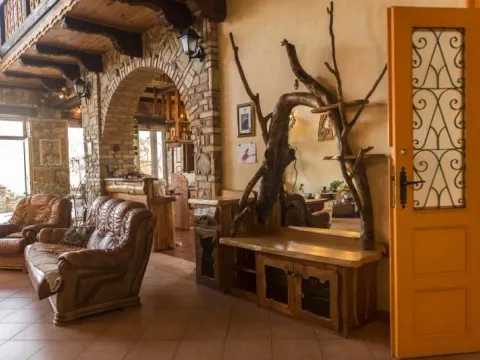 Prodaja, kuća, 587m², Sremska Kamenica, Petrovaradin - image 24