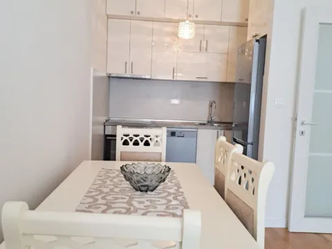 Izdavanje, jednosoban stan, 46m², Central Point, Podgorica - image 4